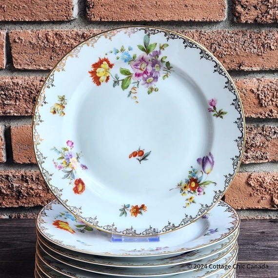 Set of 2 Fraureuth Saxony Dresden-Style Dinner Plates, 10 3/8"