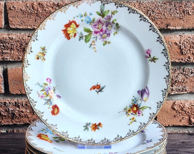 Set of 2 Fraureuth Saxony Dresden-Style Dinner Plates, 10 3/8"