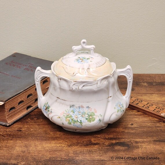 Erdmann Schlegelmilch Porcelain Biscuit Jar – Art Nouveau Floral Design Bavaria Germany