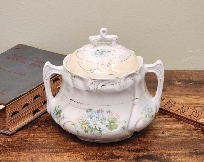 Erdmann Schlegelmilch (ES Germany) Art Nouveau Hand-Painted Floral Biscuit Jar