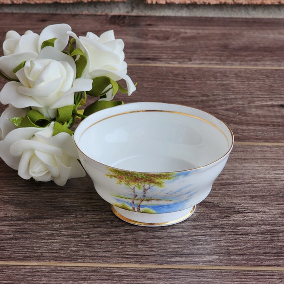 Paragon “Cliffs of Dover” Sugar Bowl – Vintage Double Warrant Bone China, Hand Painted England