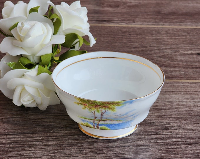 Paragon Double Warrant "The Cliffs of Dover" Fine Bone China Open Sugar Bowl, Made in England (1940's)