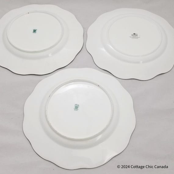Coalport Indian Tree 10 1/2