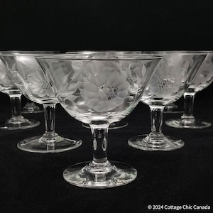 Hughes Cornflower Etched Crystal Coupe champagne / glas met lage sorbet, gladde steel, niet-optisch, set van 6