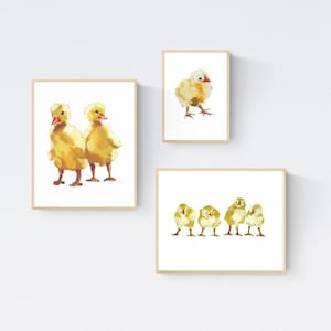 Duckling nursery wall art set of 3 prints, baby farm animal nursery decor