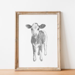 Calf Pencil Sketch Art Print: Modern Farmhouse Animal Artwork