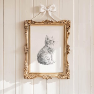 Kitten fine art pencil sketch modern farmhouse artwork gift for cat lover