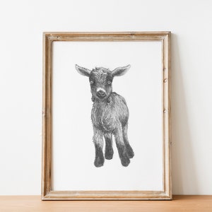 Pygmy Goat Pencil Sketch Art Print: Farmhouse Nursery Decor