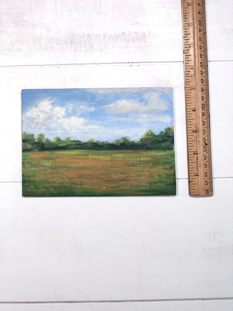 May include: A small painting depicting a landscape with a blue sky, white clouds, green trees, and a brown field.
