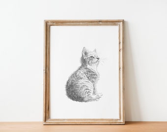 Kitten fine art pencil sketch modern farmhouse artwork gift for cat lover