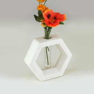 Puede incluir: Un jarrón blanco geométrico con diseño hexagonal, que contiene flores de color naranja vibrante. Las flores tienen centros oscuros y tallos verdes. El jarrón tiene un tubo de vidrio transparente para las flores.