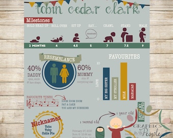 Baby "Jaaroverzicht" Infographic