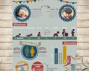 Babyfoto "Jaaroverzicht" Infographic