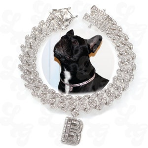 Diamond Dog Collar