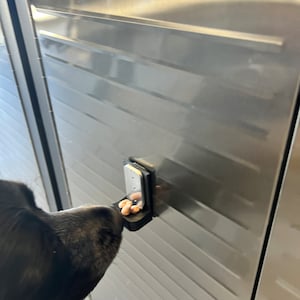10 Pack Self Rewarding Scent Vessel Holder Only Tin Not Included | Nose Work | Scent Detection | Scent Work | AKC Scent Work | Nosework | NA