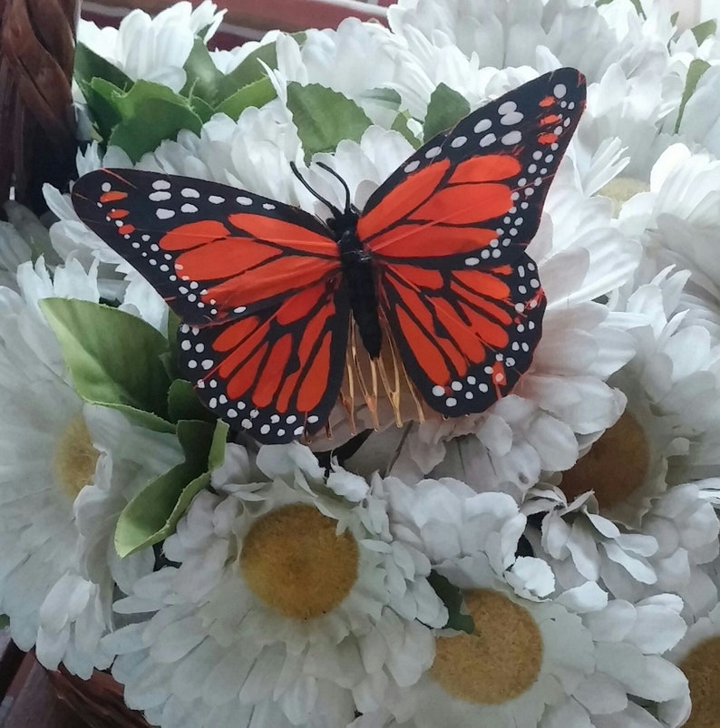 Orange feather comb with butterfly