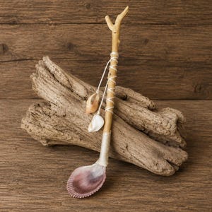 Può includere: Un cucchiaio artigianale con manico in ramoscello di legno marrone chiaro avvolto da un cordino bianco. La parte concava è una grande conchiglia striata dai toni violacei. Due conchiglie più piccole, lisce e color crema, pendono dal manico.