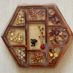May include: A hexagonal resin coaster featuring a brown grid frame containing various dried seeds, corn kernels, and legumes. The center compartment displays a small red and black ladybug figurine alongside a cluster of tiny dried yellow flowers.