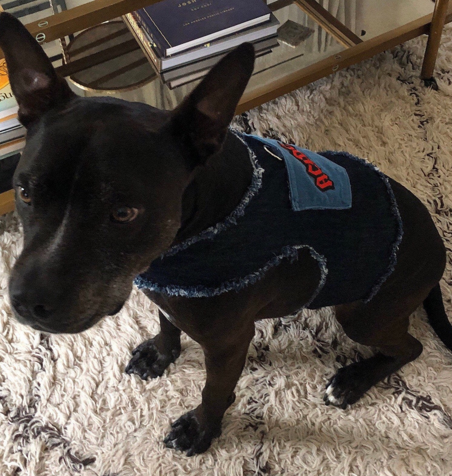 Dog harness pet harness harness with adorable patches. Etsy