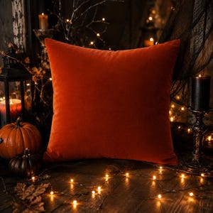 May include: A square throw pillow in a solid burnt orange color with a smooth, velvet-like texture. The pillow is positioned centrally, featuring clean, straight edges and a uniform, matte finish across its entire front surface.