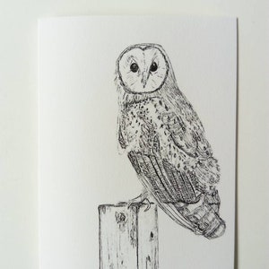 Greetings card// Barn owl card // blank inside image 2