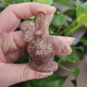 Quartz fraise Mr Krabs