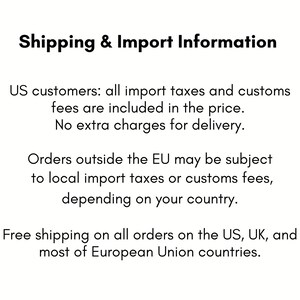 May include: A white informational graphic with black text titled Shipping & Import Information. The text outlines policies regarding import taxes, customs fees, and delivery charges for customers located in the United States and other regions.