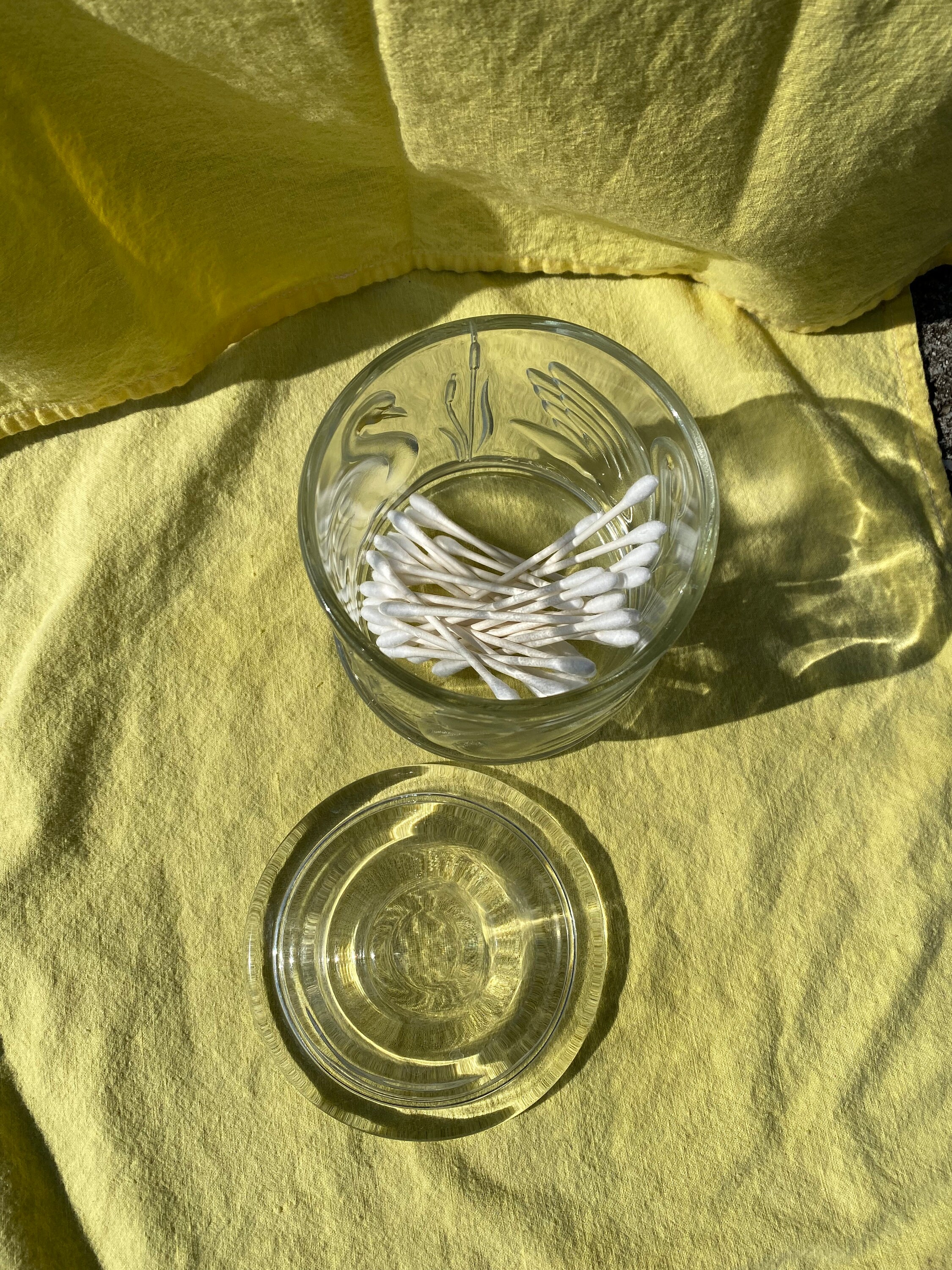 Embossed Glass Apothecary Jar With Lid Swan Cattails Etsy