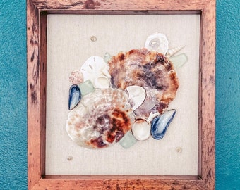 Unique seashell art | Sea shell home decor | Beach home decor | Coastal decor | Rustic beach decor | Naturally weathered seashell variety