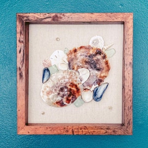 Unique seashell art | Sea shell home decor | Beach home decor | Coastal decor | Rustic beach decor | Naturally weathered seashell variety