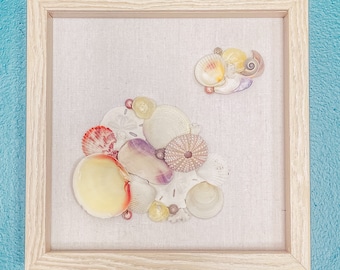 Unique seashell art | Sea shell home decor | Beach home decor | Coastal decor | Rustic beach decor | Naturally weathered seashell variety