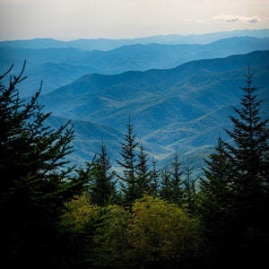 Appalachian Trail, Mountain Skyline, Hiking Wall Decor, North Carolina, National Park