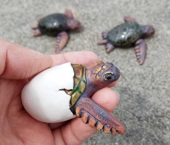 Mini sea hotsell turtles for sale