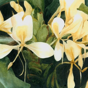 Tropical Flower Art Print - white ginger flower painting, Hawaii watercolor art, Hawaiian flowers, Mother's Day flowers, yellow flower art
