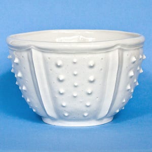 White porcelain soup bowl sea urchin ceramic bowl, handmade white bowl, white noodle bowl, ramen bowl, large bowl, big white bowl image 2