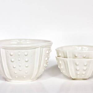 White porcelain soup bowl sea urchin ceramic bowl, handmade white bowl, white noodle bowl, ramen bowl, large bowl, big white bowl image 6