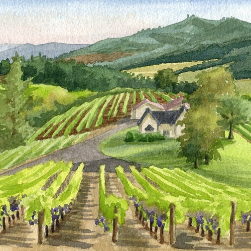 Oregon Vineyard Art Print Oregon Wine Country Art Oregon Etsy