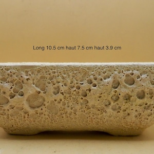 Peut inclure: Un pot rectangulaire beige avec une surface texturée et poreuse. Le pot mesure 10,5 cm de long, 7,5 cm de haut et 3,9 cm de haut. Le pot a un aspect unique et organique, adapté aux petites plantes ou succulentes.