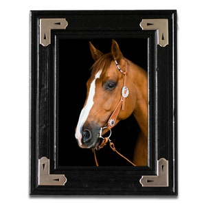 May include: A framed portrait of a horse. The horse has a brown coat with a white blaze and is wearing a bridle. The frame is black with silver corner accents. The background is black.