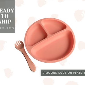 May include: A pink silicone suction plate with three sections and a matching pink silicone fork.  The plate has a suction base to help keep it in place.