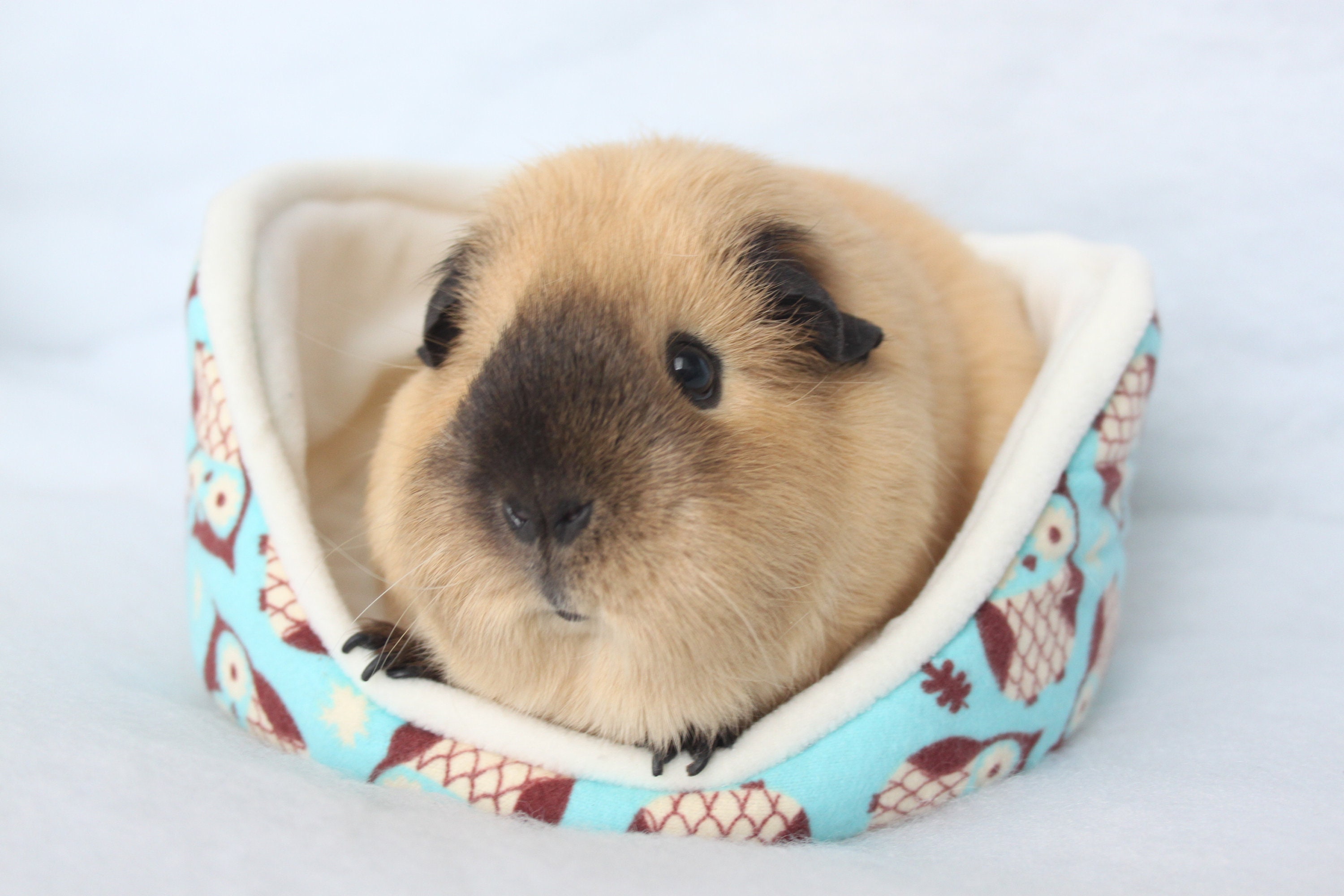 Soft Fleece Bed Cuddle cup Guinea Pig Rat Hedgehog owl Etsy