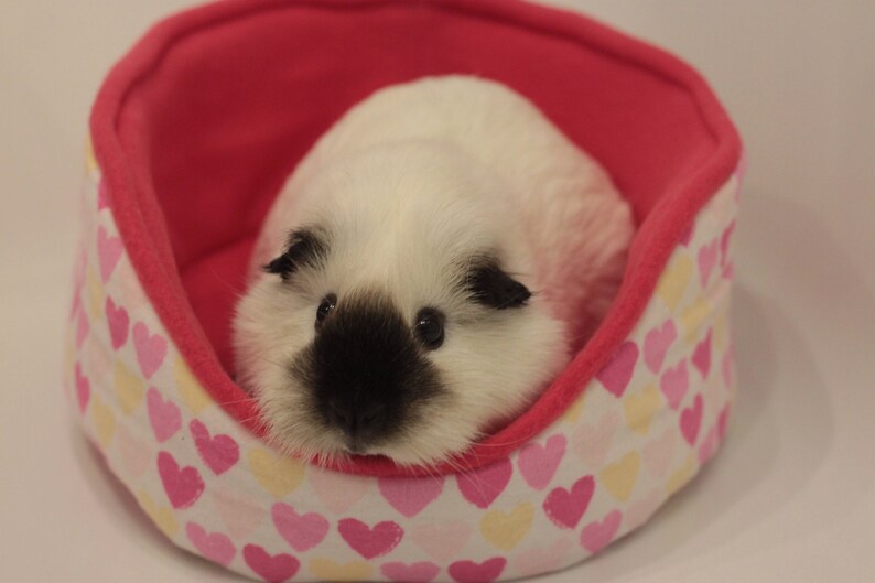 Soft Fleece Bed Cuddle Cup Guinea Pig Rat Hedgehog Hearts Etsy