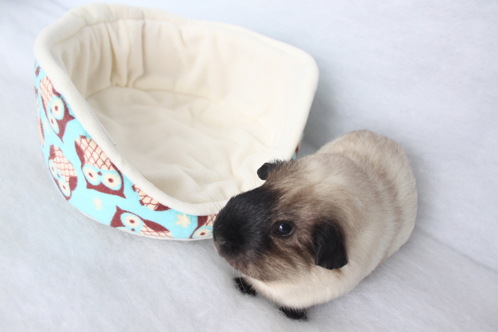 Soft Fleece Bed Cuddle Cup Guinea Pig Rat Hedgehog Owl Etsy