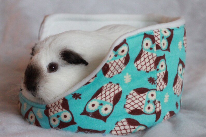 Soft Fleece Bed Cuddle Cup Guinea Pig Rat Hedgehog Owl Etsy