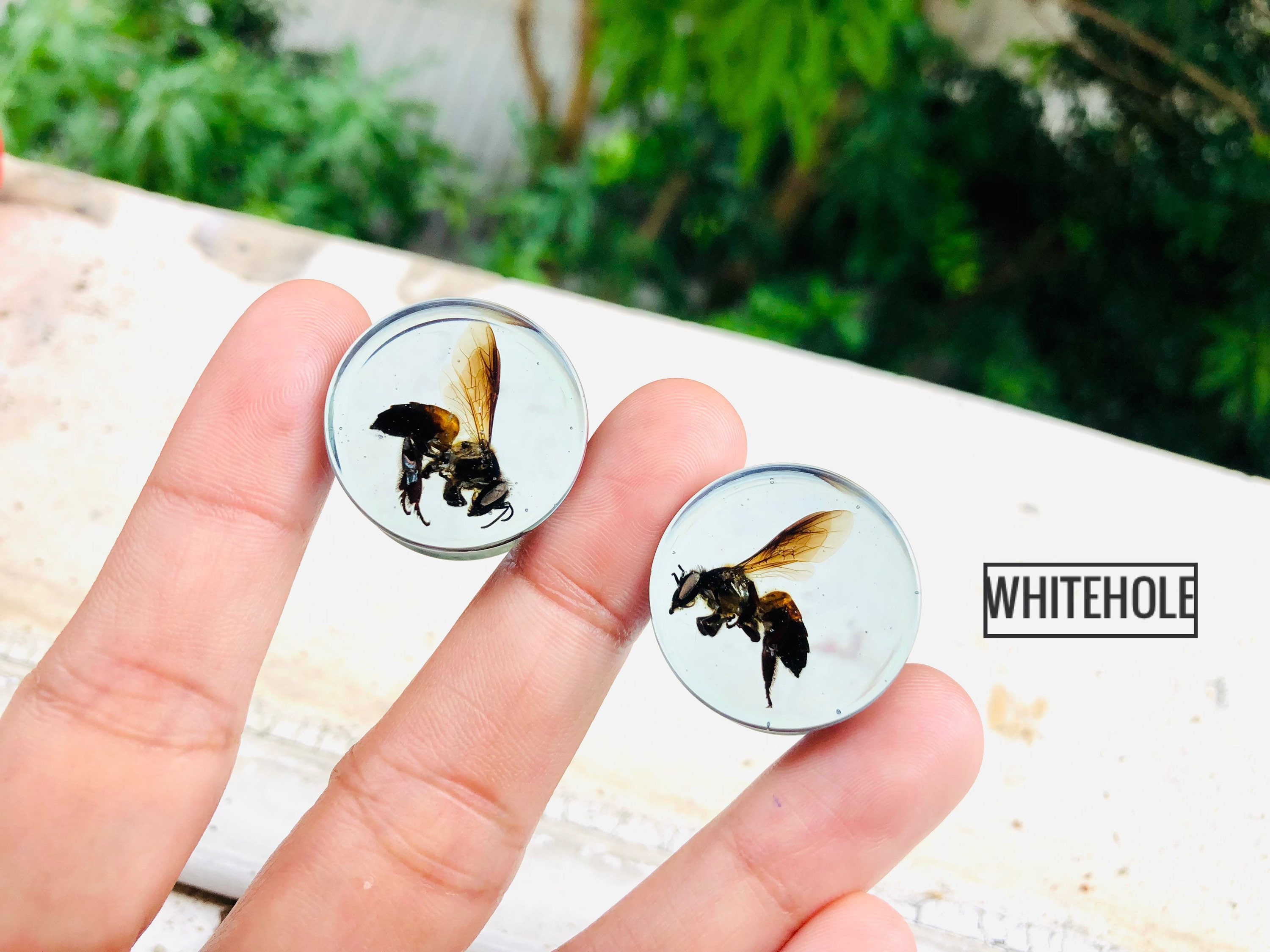 Plugs[real Bee]-plugs Custom/plugs Smoke/plugs Resin - Etsy