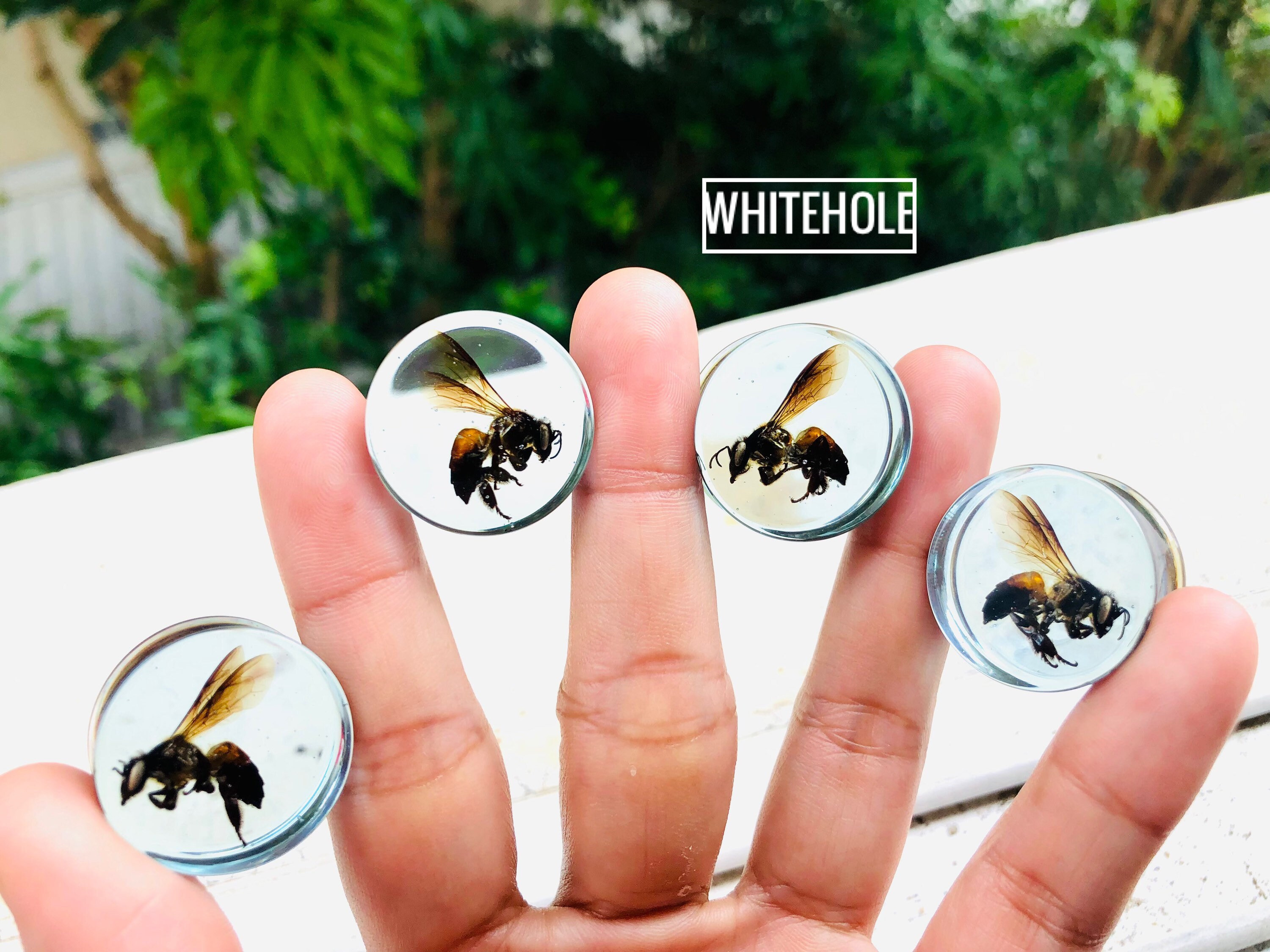 Plugs[real Bee]-plugs Custom/plugs Smoke/plugs Resin - Etsy