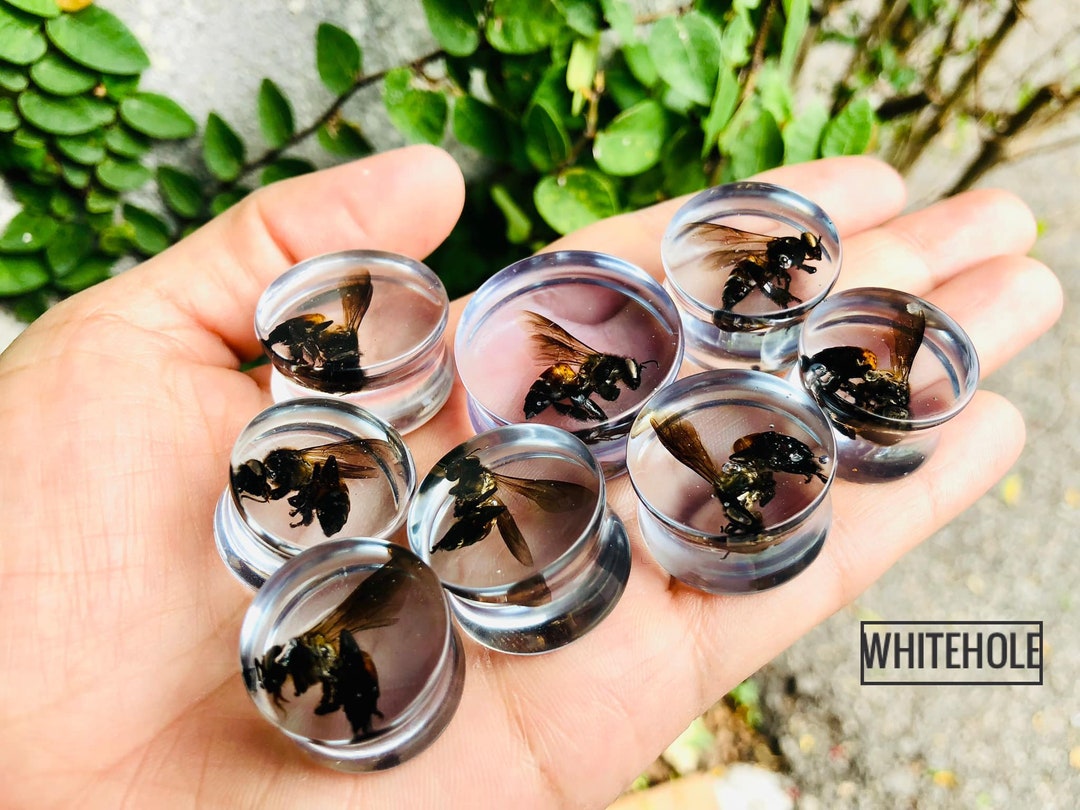 Plugs[real Bee]-plugs Custom/plugs Smoke/plugs Resin - Etsy