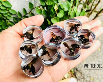 plugs[Real Bee]-Plugs Custom/Plugs Smoke/Plugs Resin