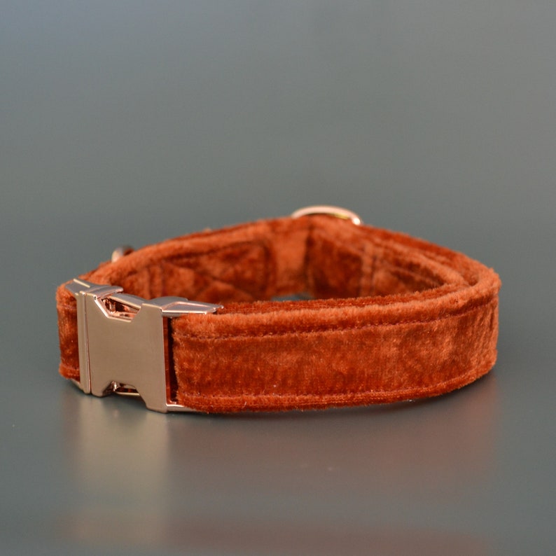 Luxury Burnt Orange Velvet Dog Collar With Choice of Buckle Etsy UK