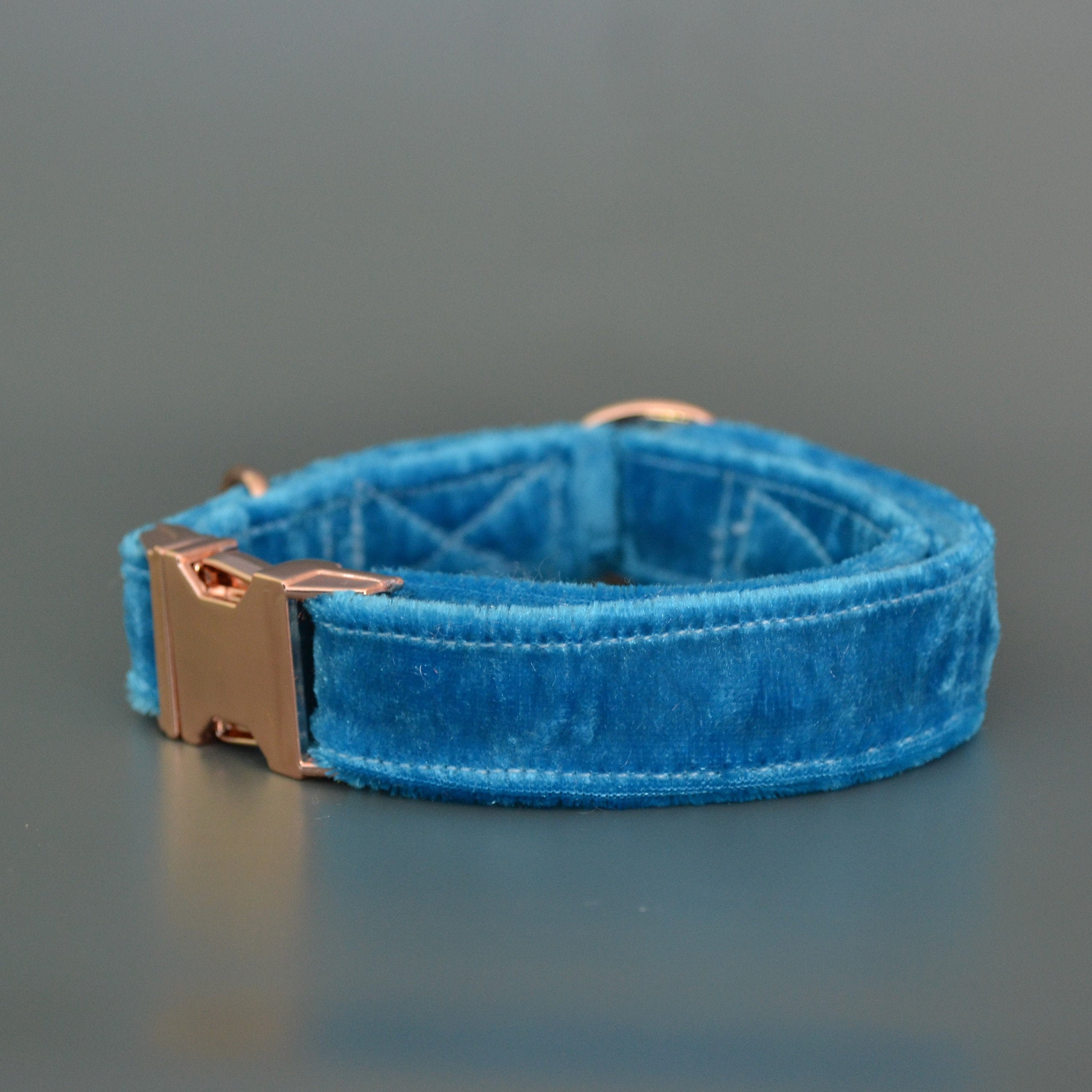 blue velvet dog collar